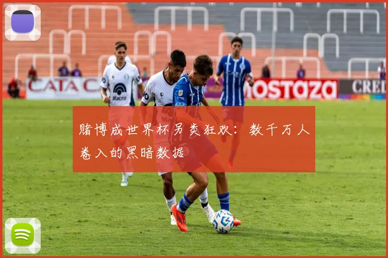 赌博成世界杯另类狂欢：数千万人卷入的黑暗数据