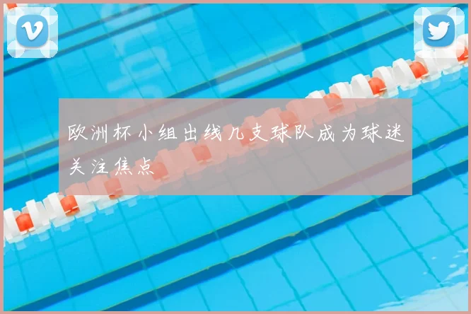 欧洲杯小组出线几支球队成为球迷关注焦点